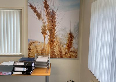 Incatro Martin Cuypers Echte Bakkersgilde AR Tpanel AR Twall 3