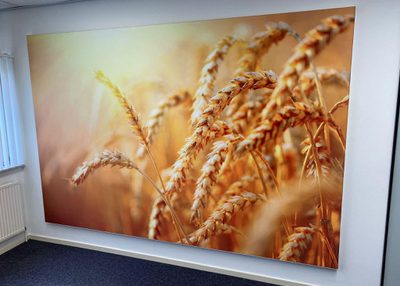 Incatro Martin Cuypers Echte Bakkersgilde AR Tpanel AR Twall 6