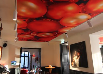 Incatro Kasteeltje Hattem horeca AR Tceiling 10