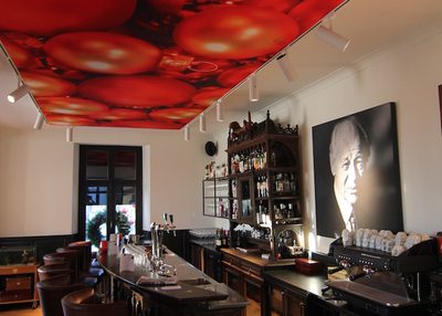 Incatro Kasteeltje Hattem horeca AR Tceiling 12