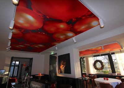 Incatro Kasteeltje Hattem horeca AR Tceiling 15