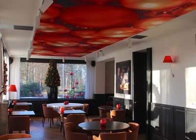 Incatro Kasteeltje Hattem horeca AR Tceiling 4