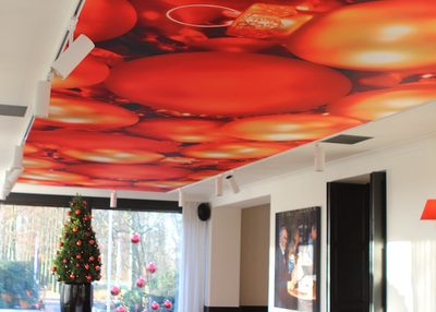 Incatro Kasteeltje Hattem horeca AR Tceiling 7