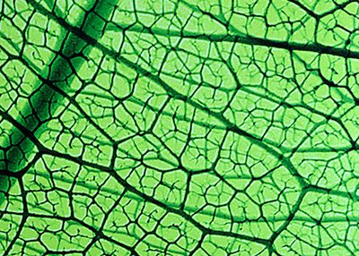 Incatro Bureau Moderne banque de Luxembourg AR Tceiling LED 10