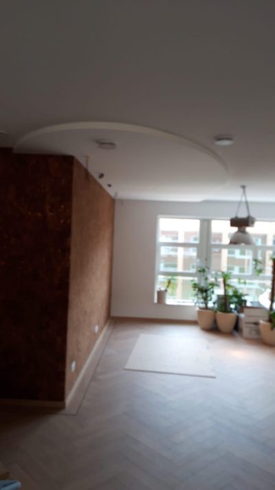 Incatro Fam Smits Amsterdam AR Tceiling ovaal 9