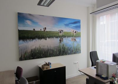 Zorgcirkel Volendam AR Tpanel 2