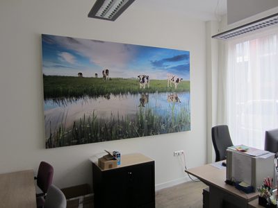 Zorgcirkel Volendam AR Tpanel 2